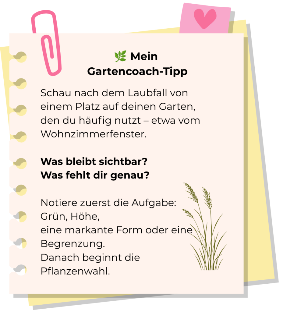 Gartencoach-Tipp: Nach dem Laubfall vom häufig genutzten Blickpunkt aus prüfen, welche Struktur sichtbar bleibt und welche Aufgabe eine Ergänzung erfüllen soll.